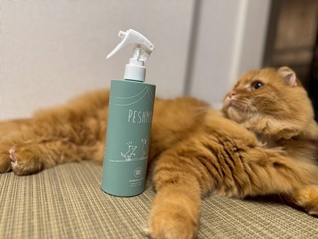 ペット用ケアアイテムの「ペシュマル」と猫
