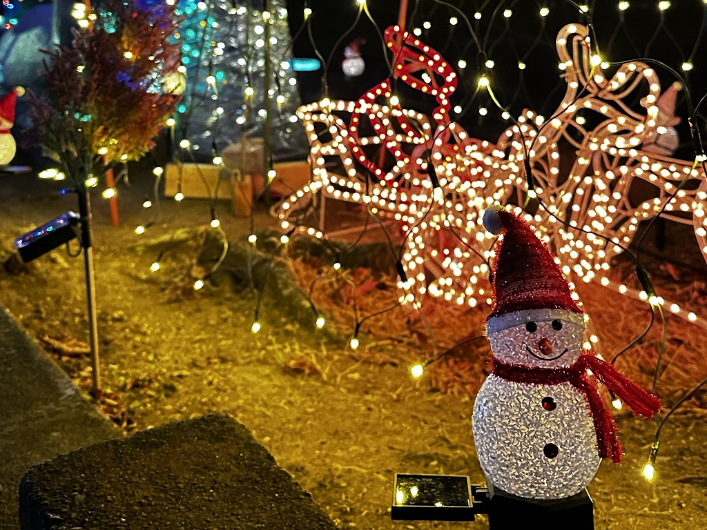 白幡小学校のイルミネーション