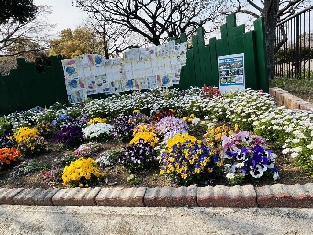 岸根公園の園内のお花