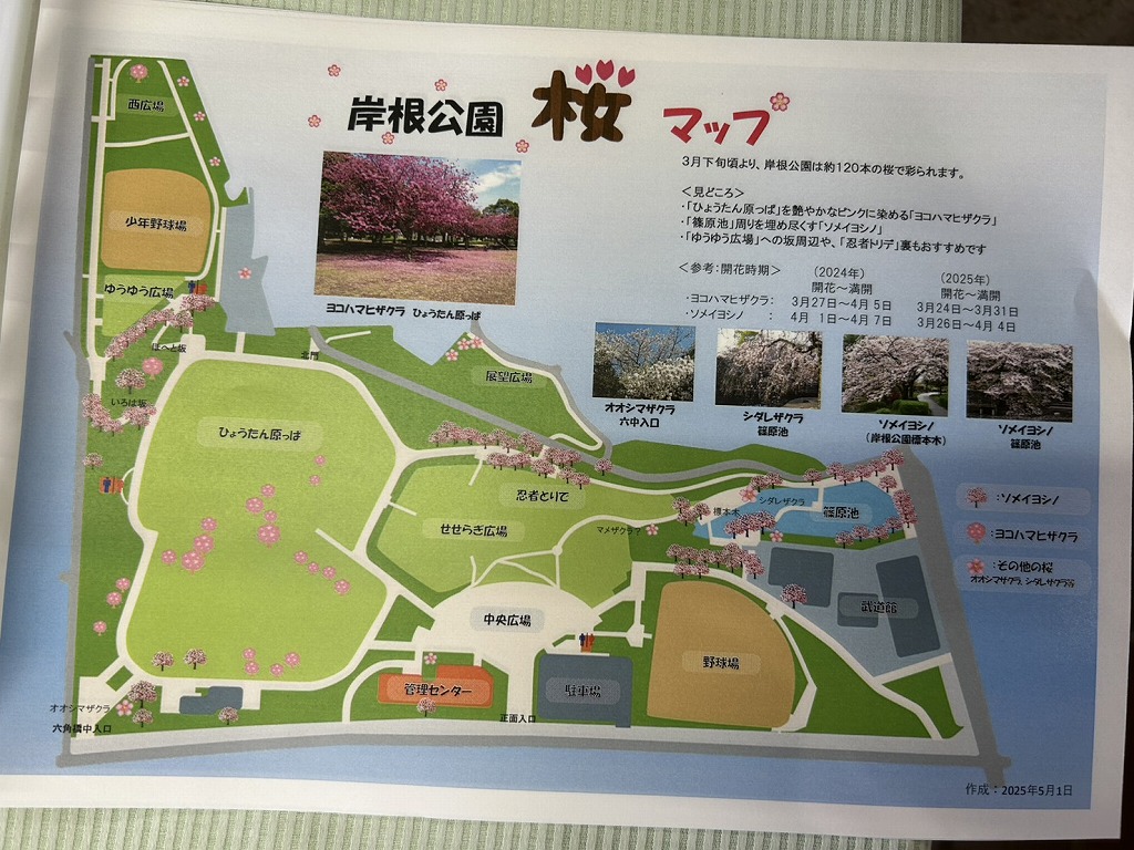 岸根公園の桜マップ