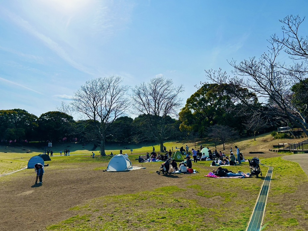 岸根公園のお花見客