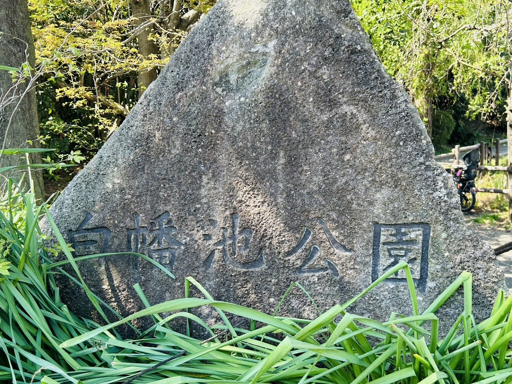 白幡池公園