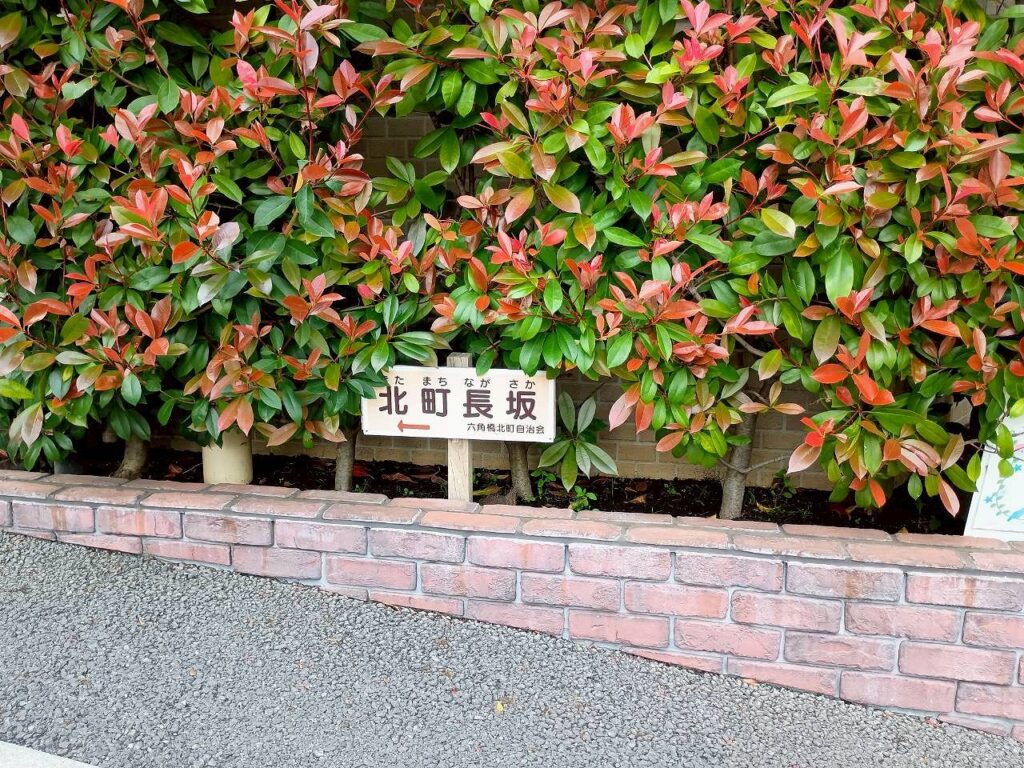 六角橋さんぽの風景～北町長坂