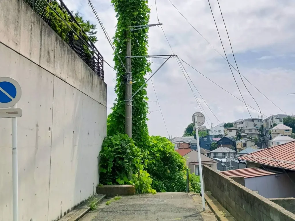 六角橋さんぽ