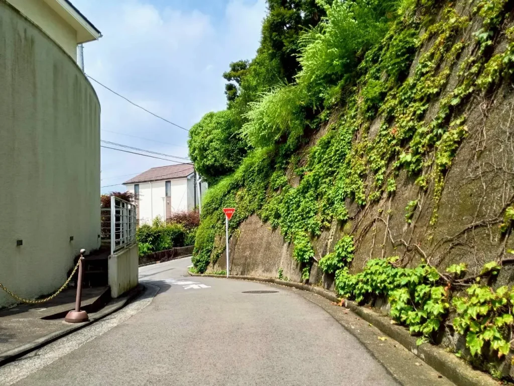 六角橋さんぽ