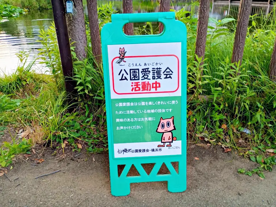 のろ猫さんぽ　白幡池公園