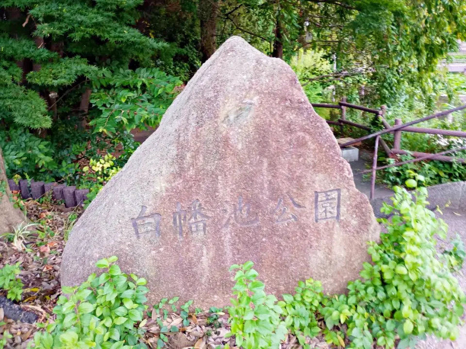 のろ猫さんぽ　白幡池公園