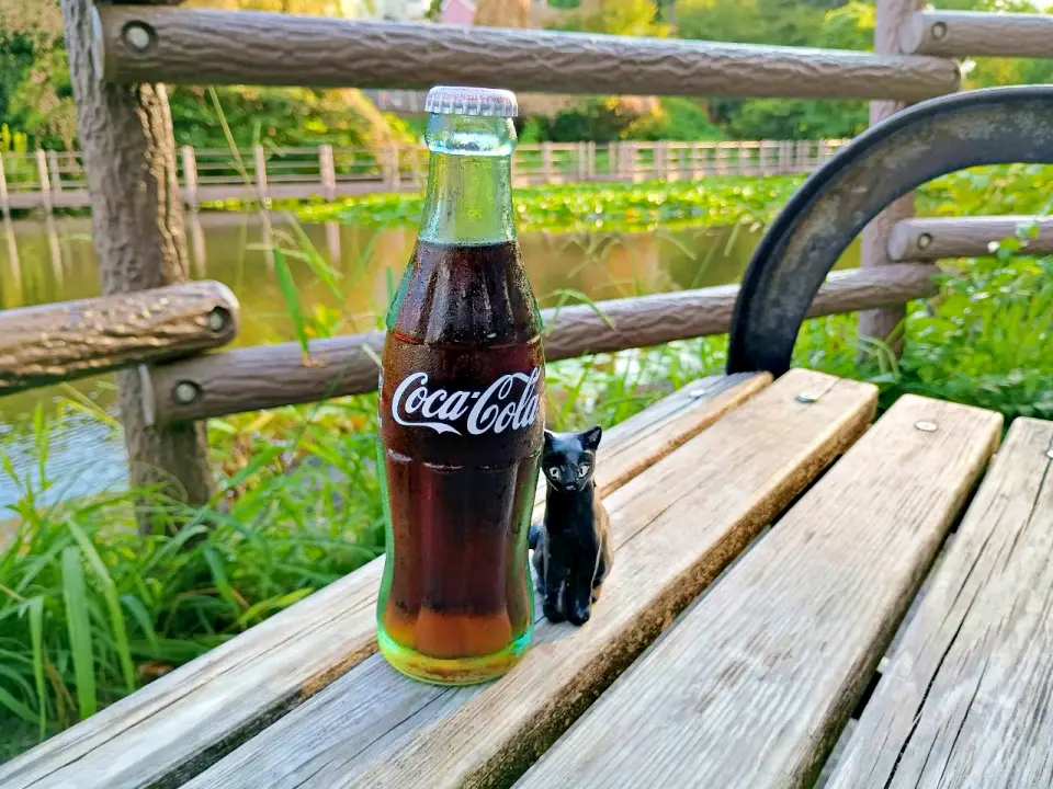 のろ猫さんぽ　白幡池公園で瓶コーラを飲む