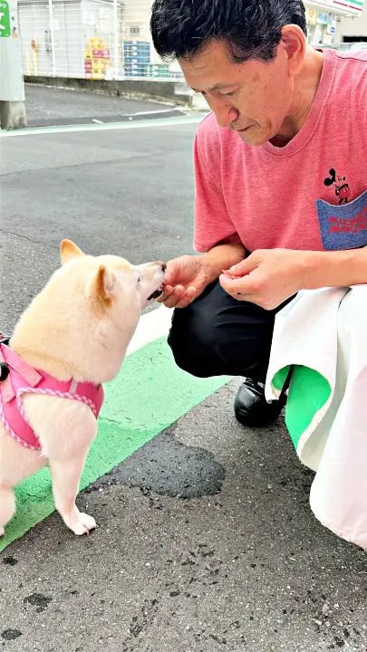 まぐろをもらうわんこ