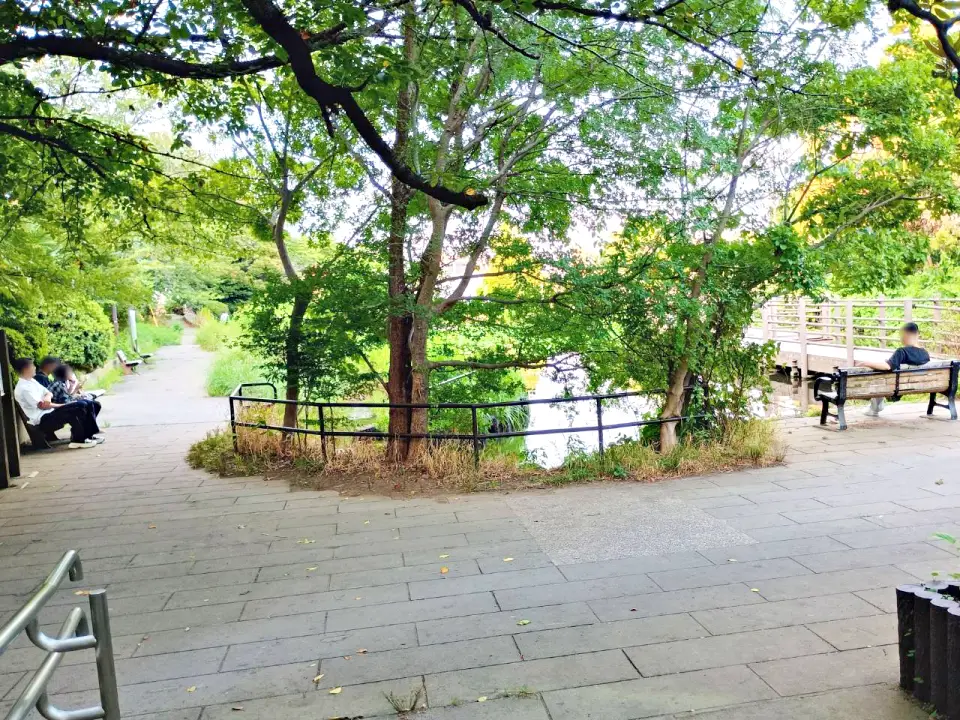 のろ猫さんぽ　白幡池公園