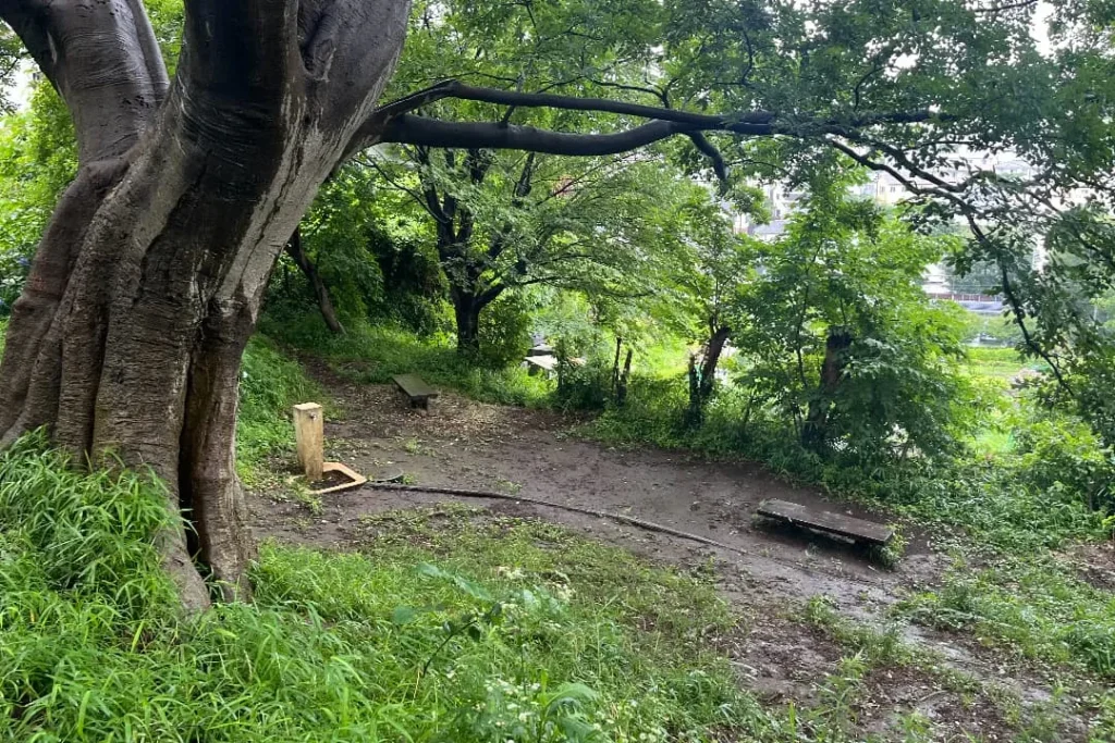 水道とベンチのある様子