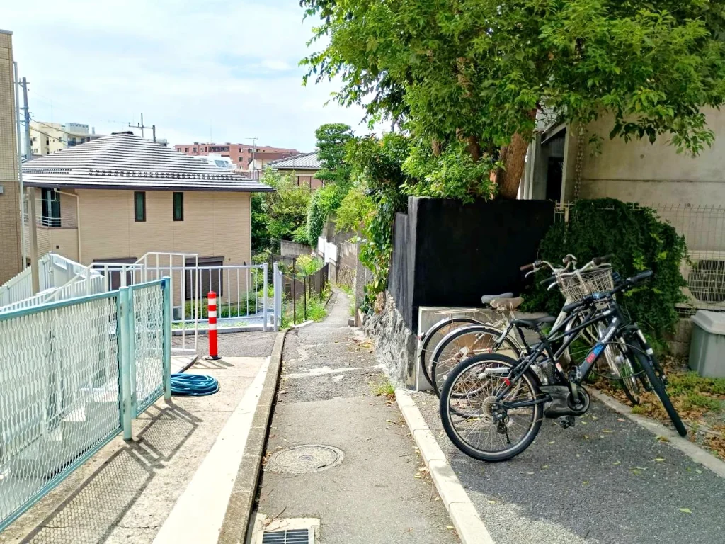 のろ猫まち歩き