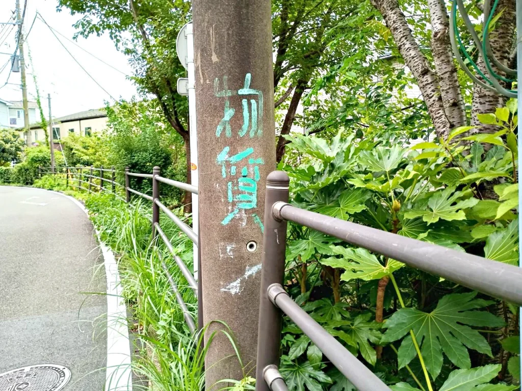のろ猫まち歩き