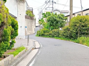 のろ猫まち歩き