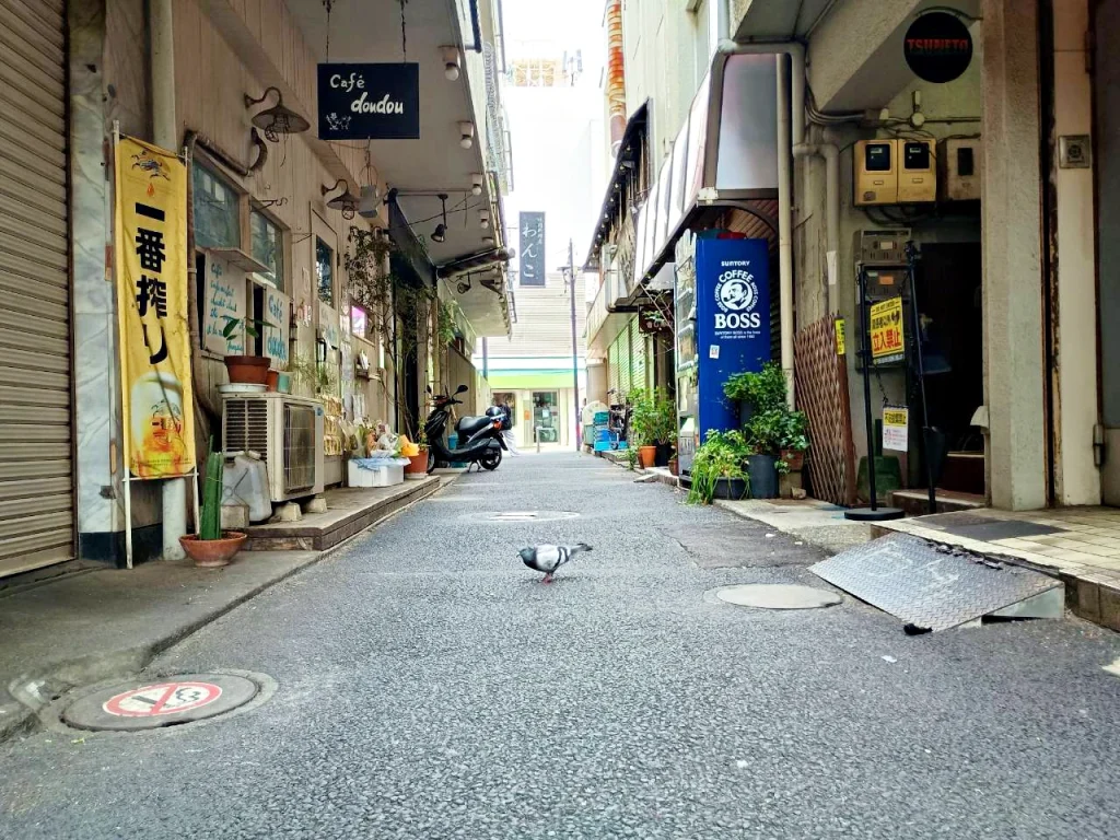 のろ猫まち歩き