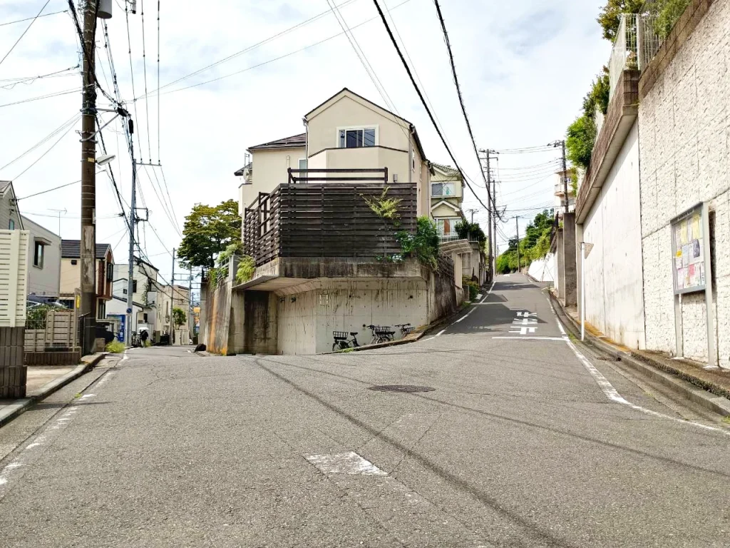 のろ猫まち歩き