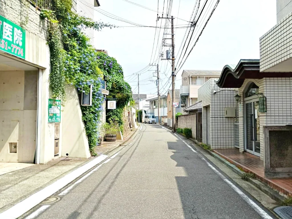 のろ猫まち歩き