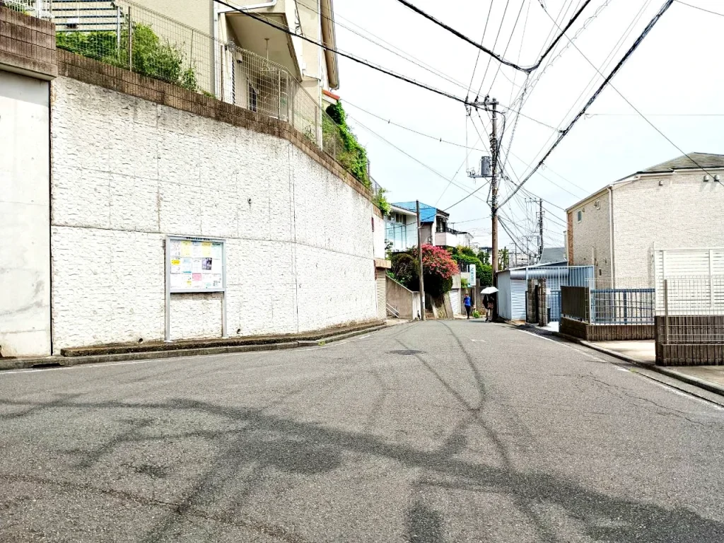 のろ猫まち歩き
