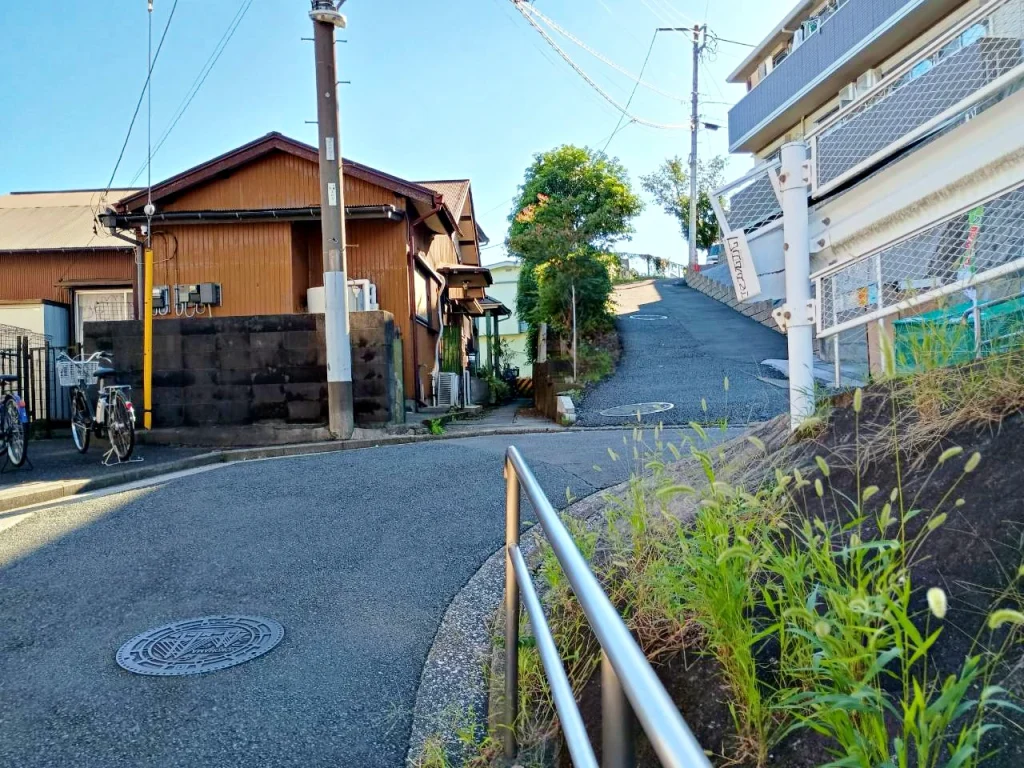 のろ猫さんぽ