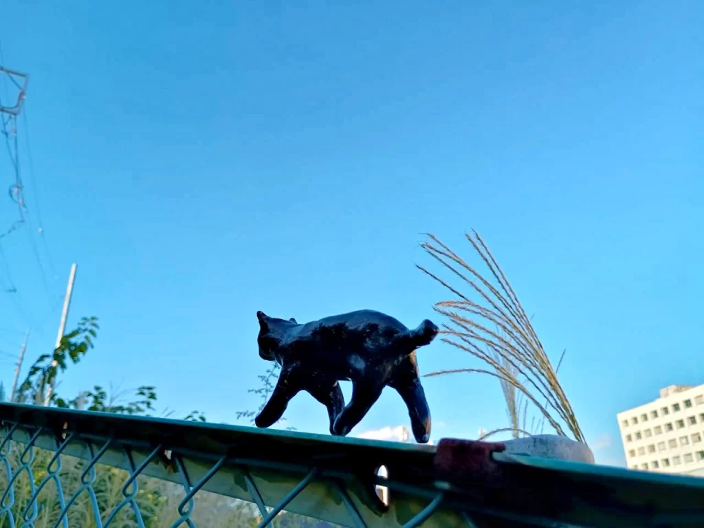 のろ猫さんぽ