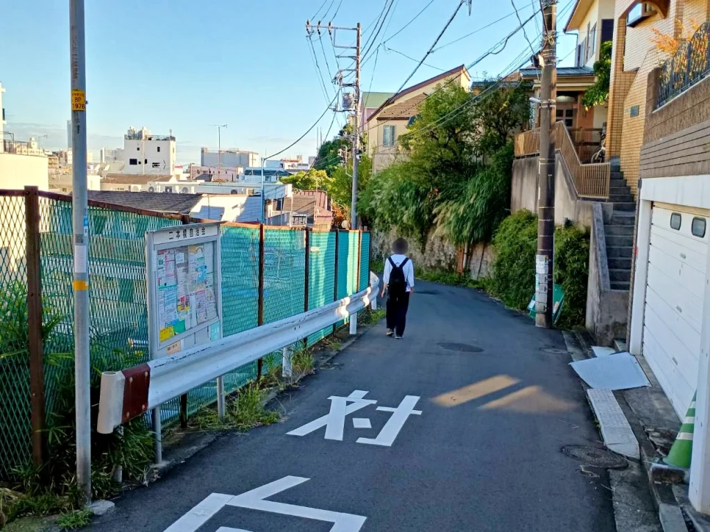 のろ猫さんぽ