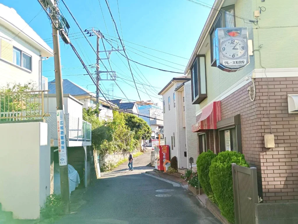 のろ猫さんぽ