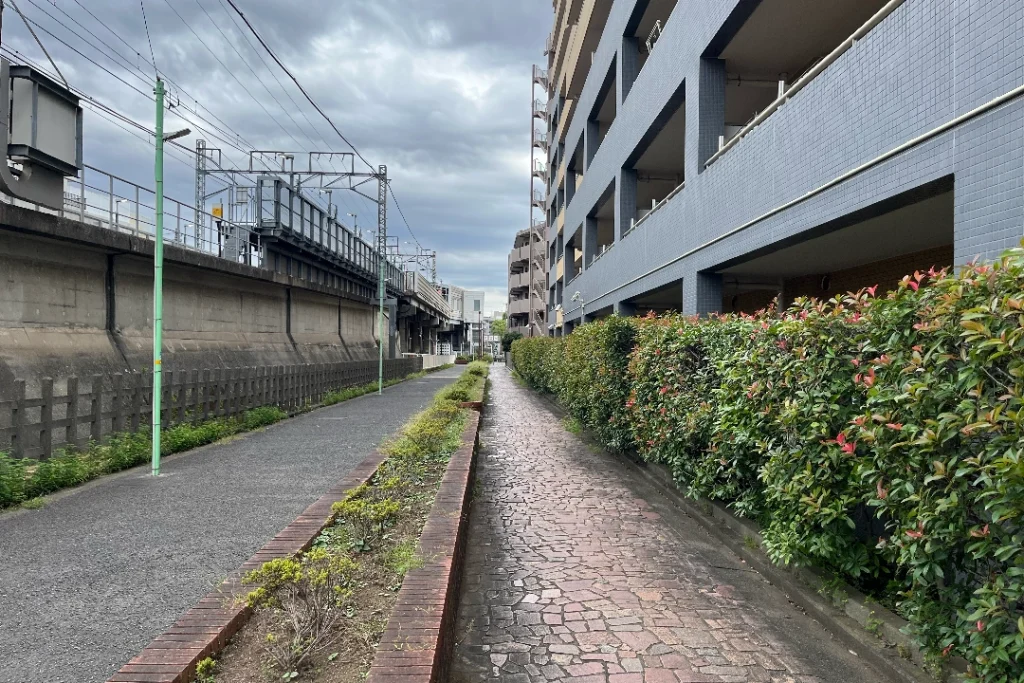東白楽の裏